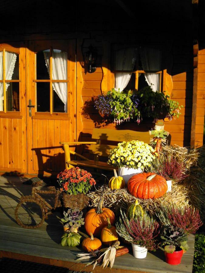 Landhaus Stremme Willingen  Eksteriør billede